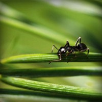 /album/stesti-s-r-o/photolia-a05-jpg/