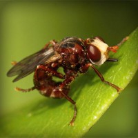 /album/stesti-s-r-o/photolia-a06-jpg/