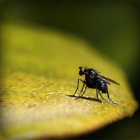 /album/stesti-s-r-o/photolia-a07-jpg/