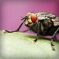 /album/stesti-s-r-o/photolia-a08-jpg/
